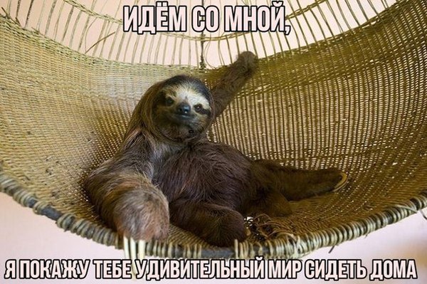 Идем со мной