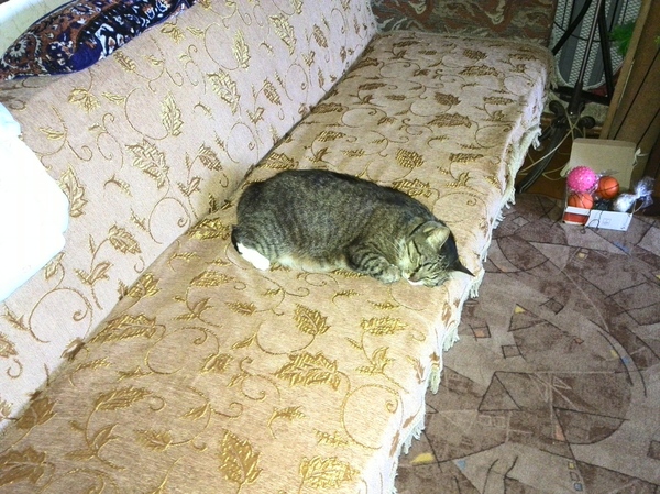 Мама уехала в деревню...