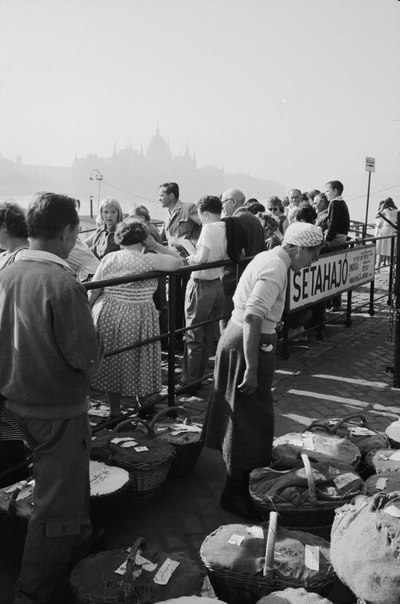 , 1961 . , , , , - , 