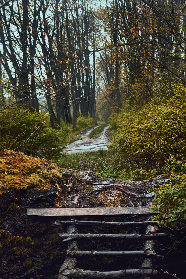 Немного сырости и прохлады с Борисова (2 Мая). Подробнее в комментариях.