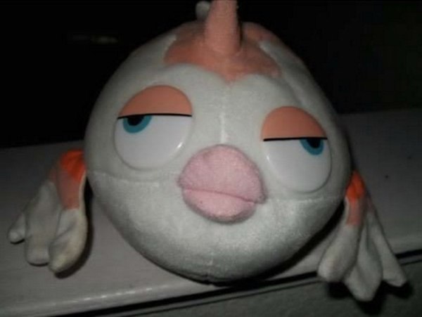 Когда заказчик просит внести очередные правки в 12 ночи