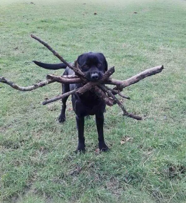 � �� ����,����� ����� �� ������.������� ������ ���� ���.