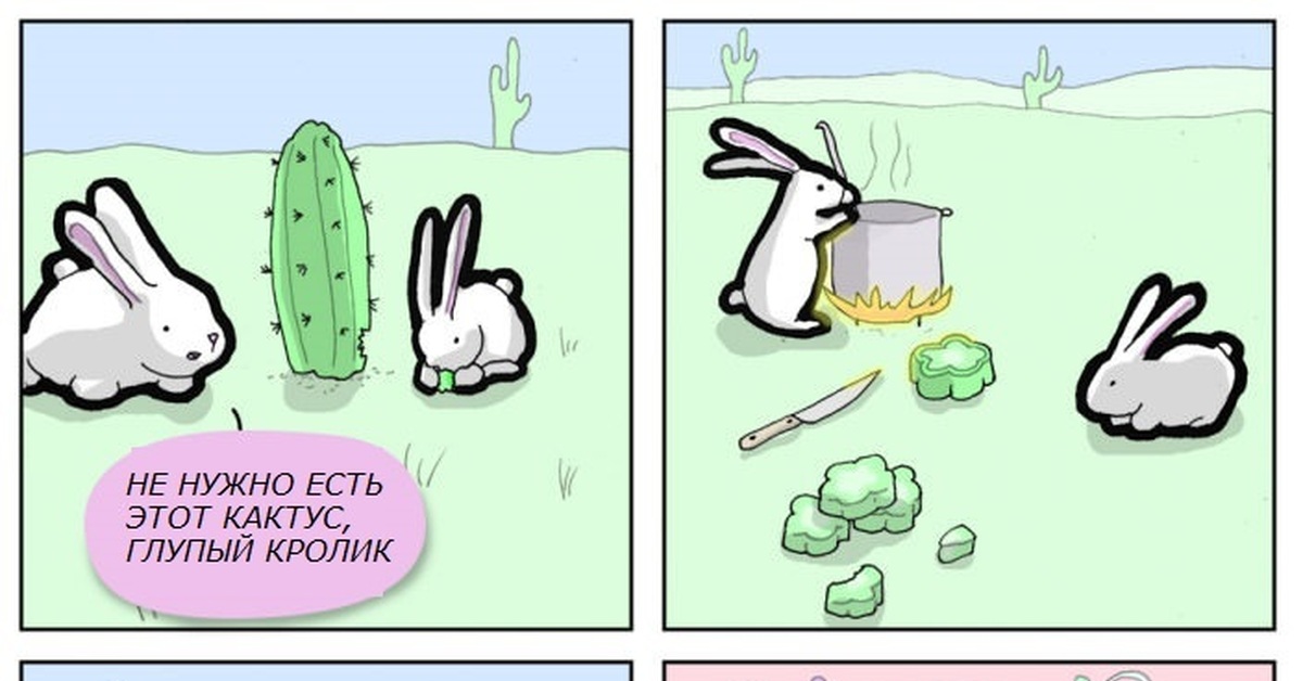 Глупый кролик. Кролик с кактусом. Мемы с зайцами. Что едят кролики.