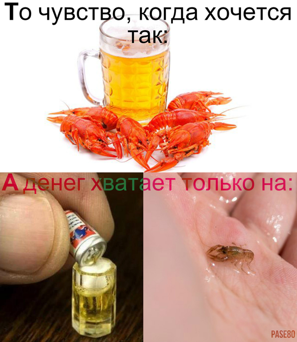 ������ �� ����� � �����, ��...