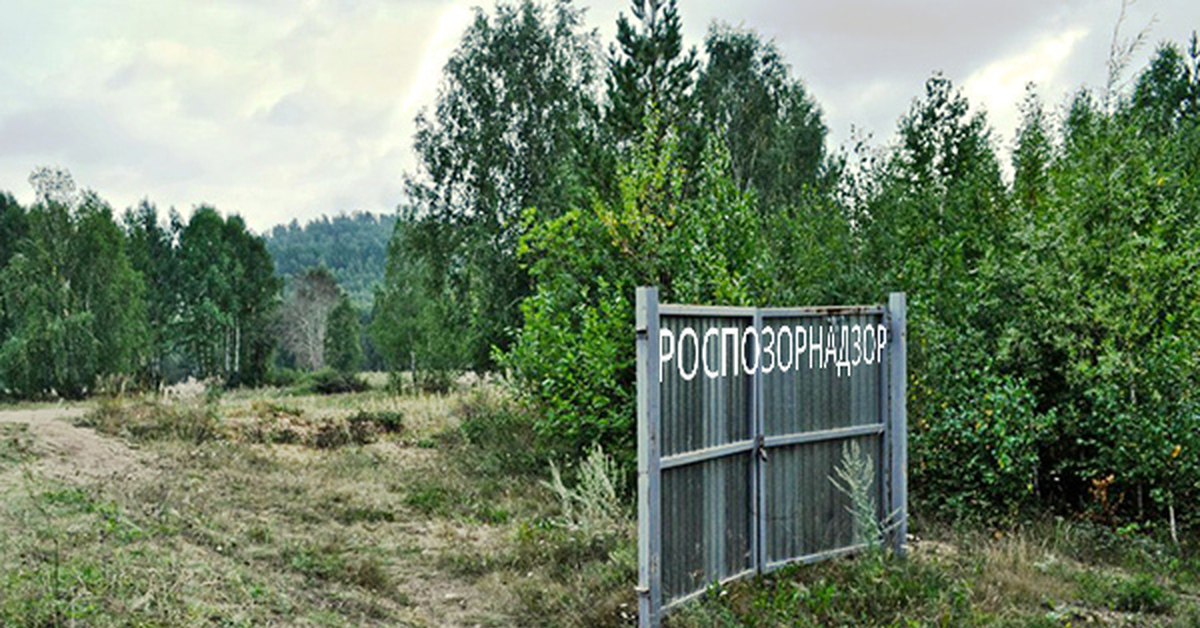 Дверь в поле. Ворота в поле без забора. Дверь без забора. Забор посреди поля. Калитка в поле.