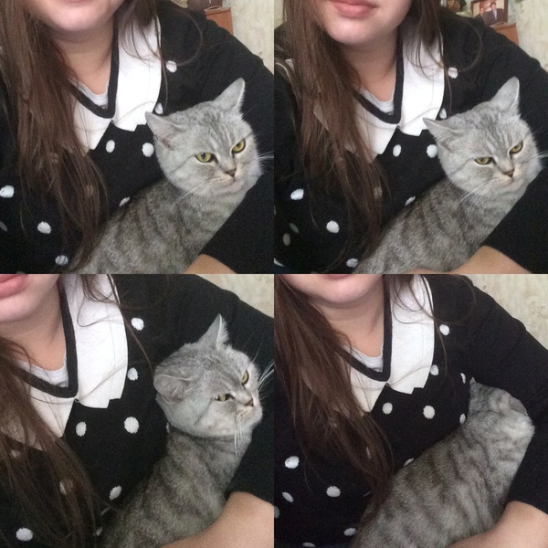 Когда хозяйка подза*бала фотографироваться