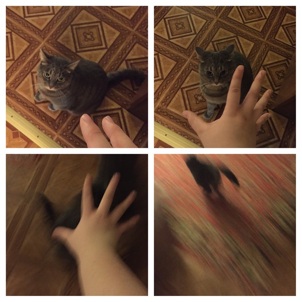      , , , 