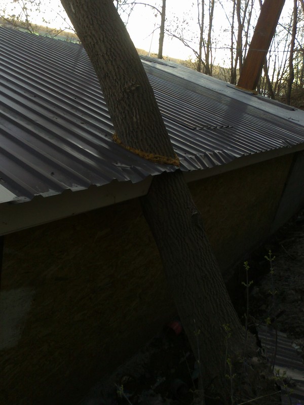 ������ � �������!