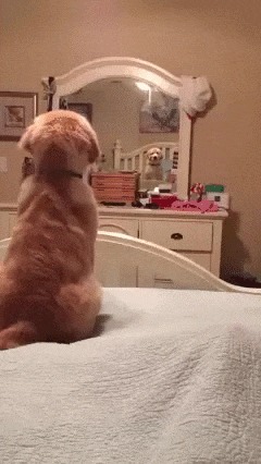 -  ?