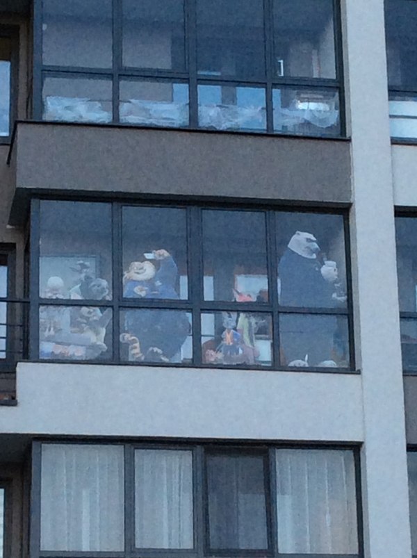 � ����� �� ������������ ������. ���� ���������� ����� ��-�� ����, ����� �� ��������.