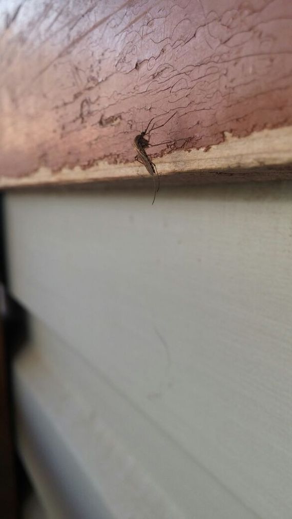 ��������� �����.