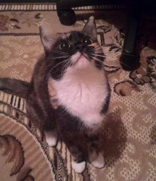 �������� ��� �����?