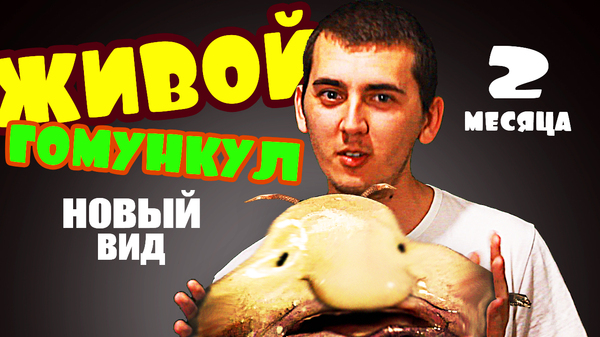 Гомункул, ОПАСНЫЙ способ НЕ повторять!!!