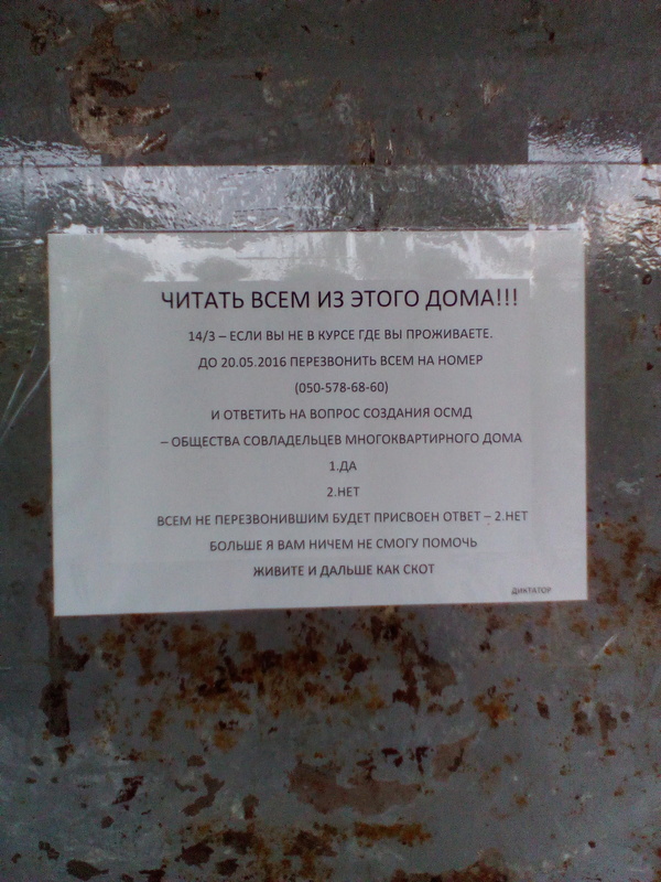 � ���� ���� �������� ��������