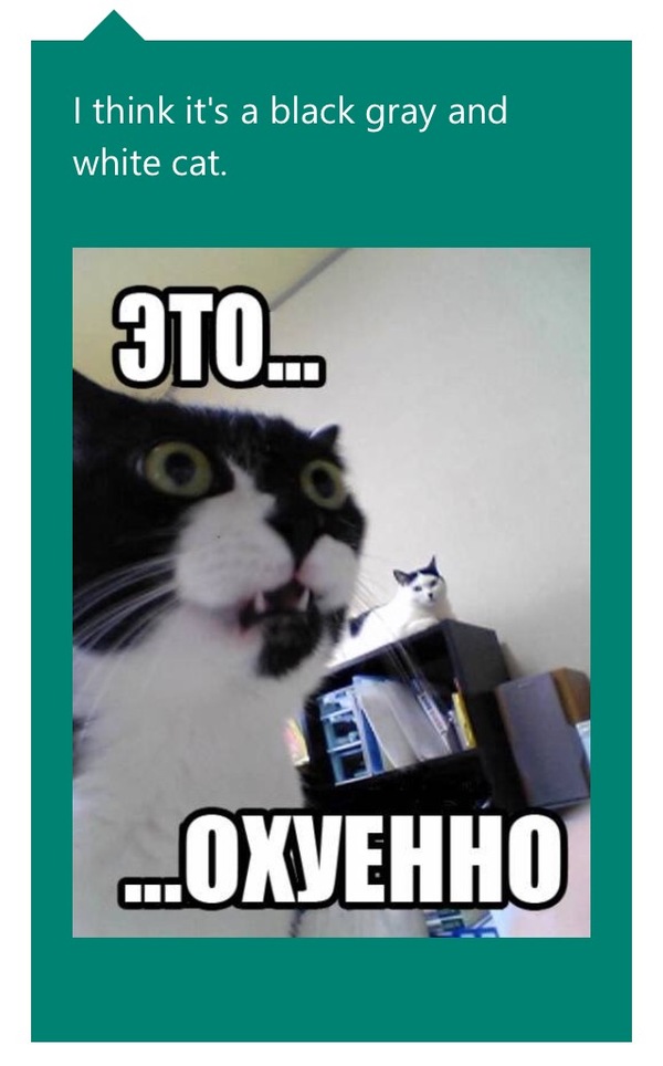 ����� ����������� �����������