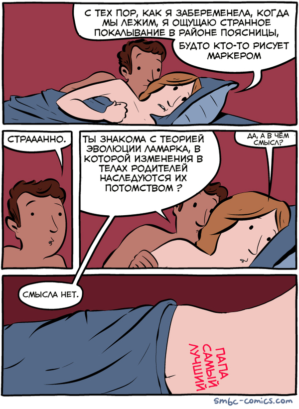  ,  .. , Smbc, 