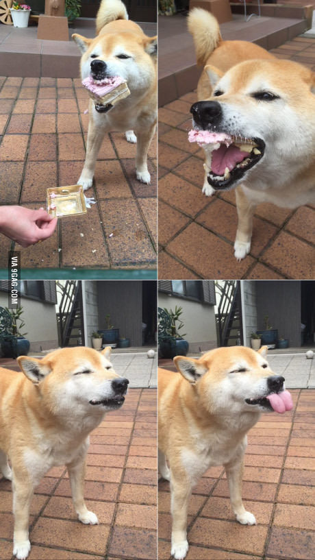 ���� ������������ ��������