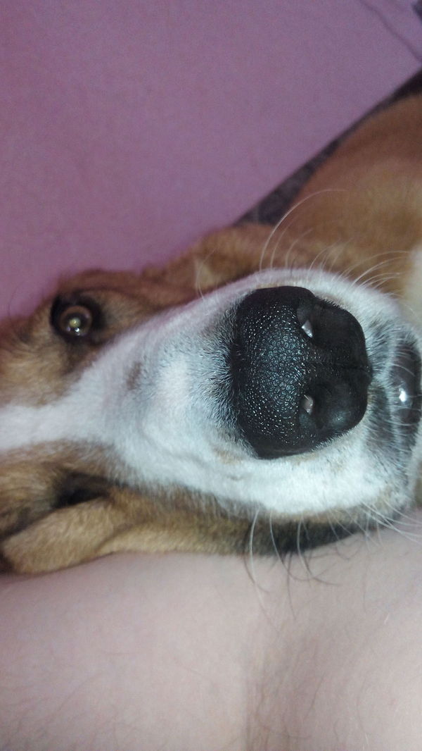 � ��������� � ������ ��� �� ����� ����.����� ���������.