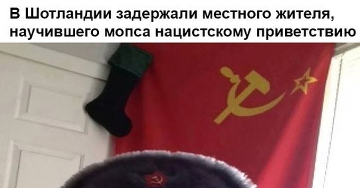 Собака С Флагом Ссср