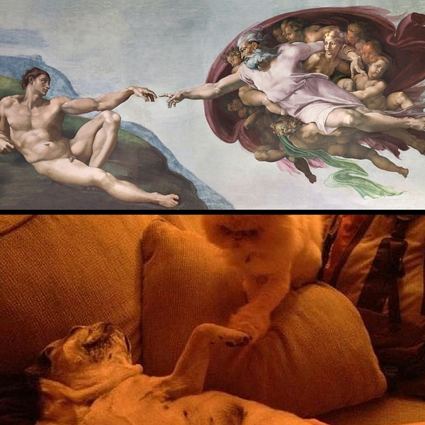     , , 