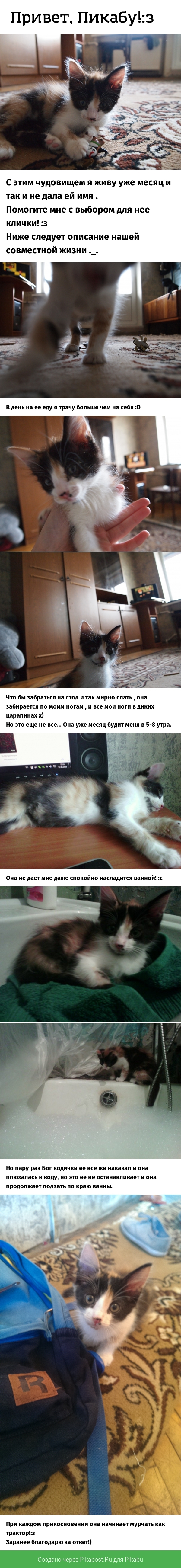 �������� � �������! :�