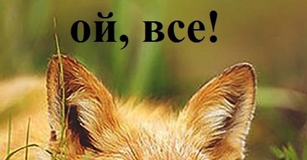 Ой все смешные картинки