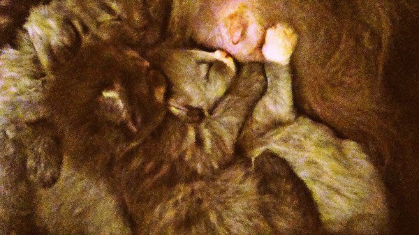 ����� ������� ������� �������� �� ��� ������ ������� �����