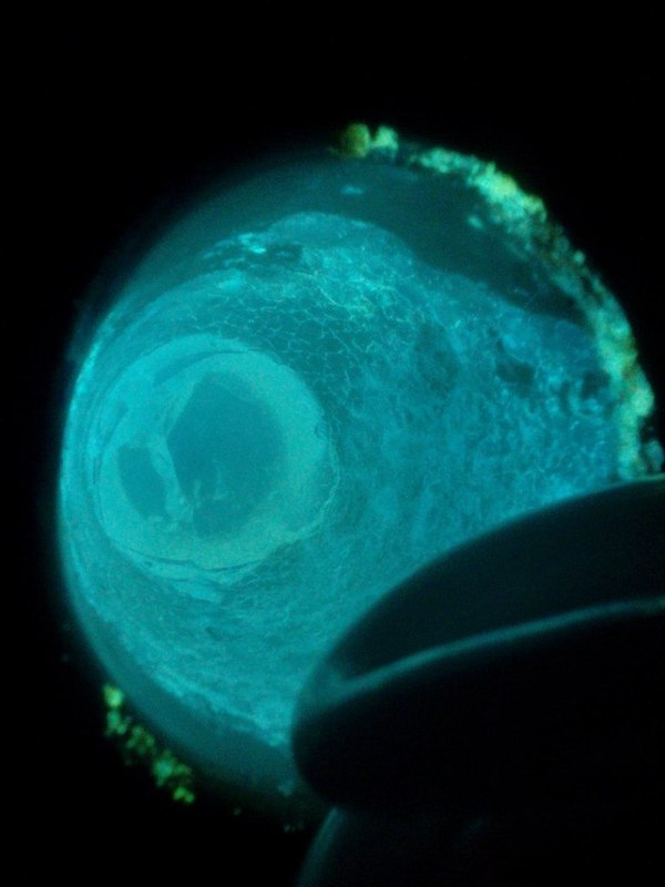 ÐÐ°Ð»ÐµÐ· Ð² Ð°Ð¿ÑÐµÑÐºÑ Ð¸ ÑÐ´ÐµÐ»Ð°Ð» Ð¡ÐÐÐ¢Ð¯Ð©ÐÐÐ¡Ð¯ ÐÐ ÐÐ¡Ð¢ÐÐÐÐ« - Ð´ÐµÐ»Ð°ÐµÐ¼ Ð»ÑÐ¼Ð¸Ð½Ð¾ÑÐ¾ÑÑ Ð´Ð¾Ð¼Ð° !!! Ð¥Ð¸Ð¼Ð¸Ñ, ÐÑÑÑÑÐ¸Ð¼ÑÐ°Ð±ÑÐ¿ÑÐ¾Ð¼, Ð Ð¾ÑÑÐ¸Ñ, ÐÑÐ¸ÑÑÐ°Ð»Ð»Ñ, ÐÐ¿ÑÑ, ÐÑÐ¼Ð¸Ð½Ð¾ÑÐ¾Ñ, Ð¢Ð²Ð¾ÑÑÐµÑÑÐ²Ð¾, Ð¡ÐºÑÑÐ½Ð¾ Ð´Ð¾Ð¼Ð°, ÐÐ¸Ð´ÐµÐ¾, ÐÐ»Ð¸Ð½Ð½Ð¾Ð¿Ð¾ÑÑ