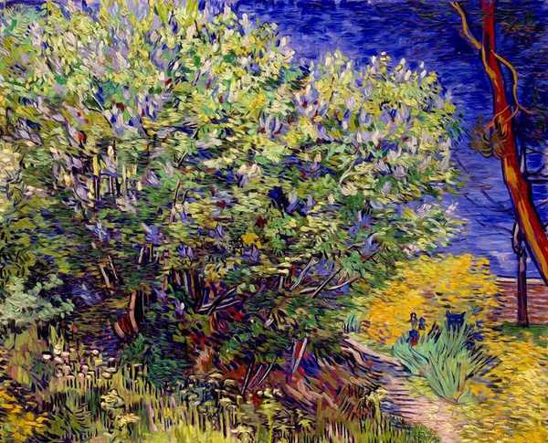 Найди котика:)