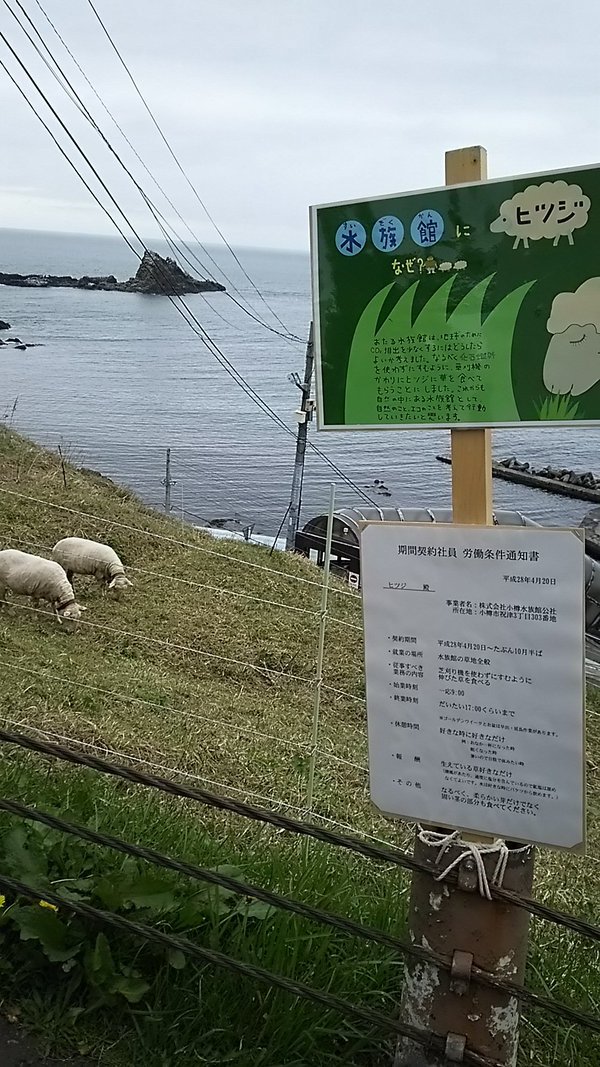 ������ ������������� �������!