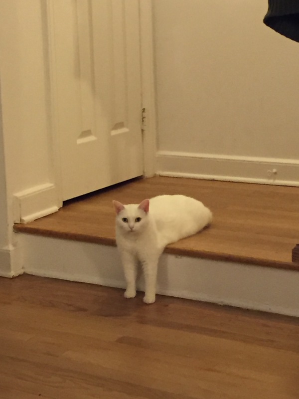 ������� � ���������