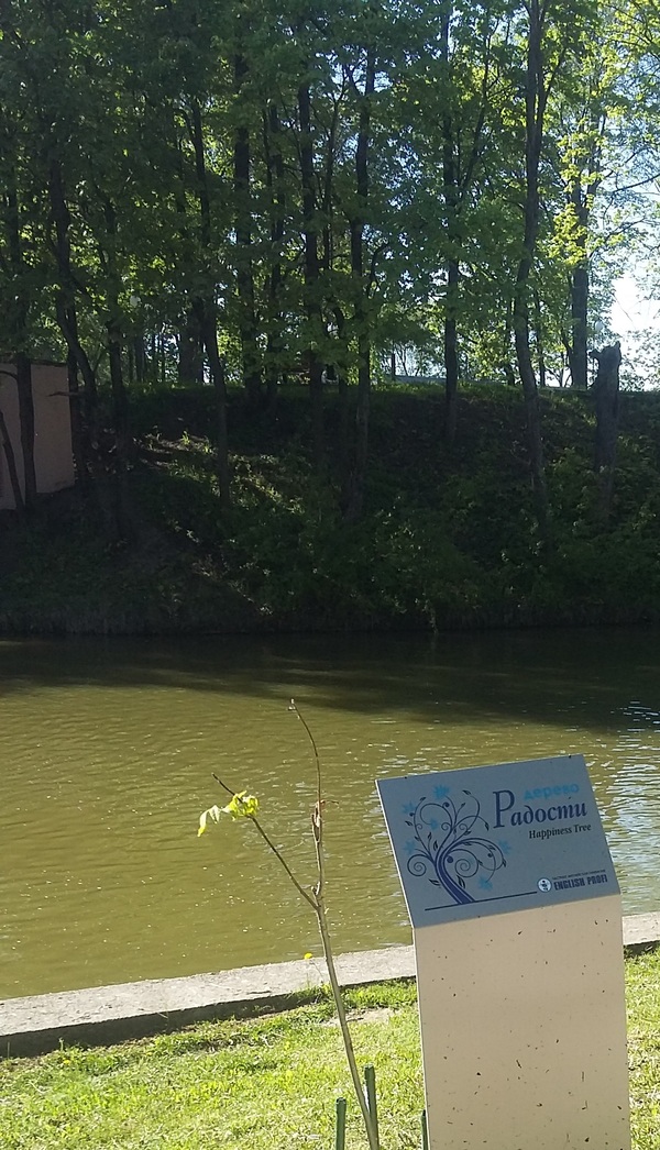 � ���������