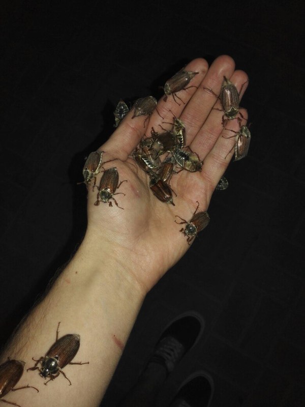 � ��� � ��� � ������ ������� ���� � �������? � �������� �� ���-�� ������� �����