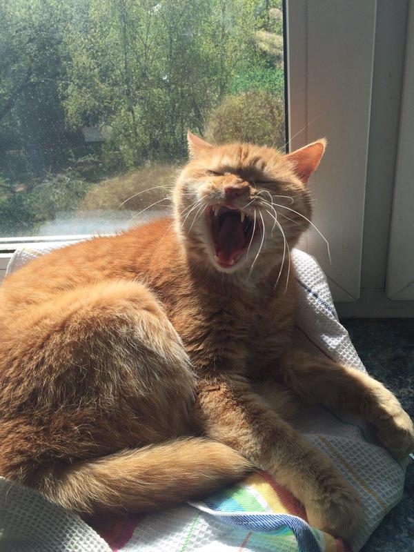 � ����� � ��������� � �� ������� ����� � ����� :)