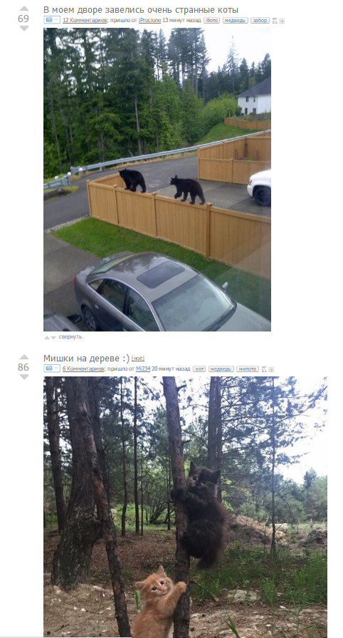 ���������� �������