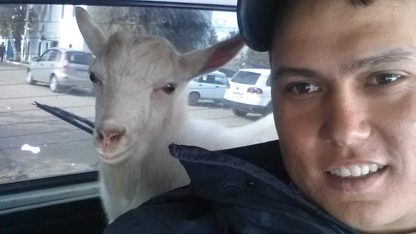 ��������������