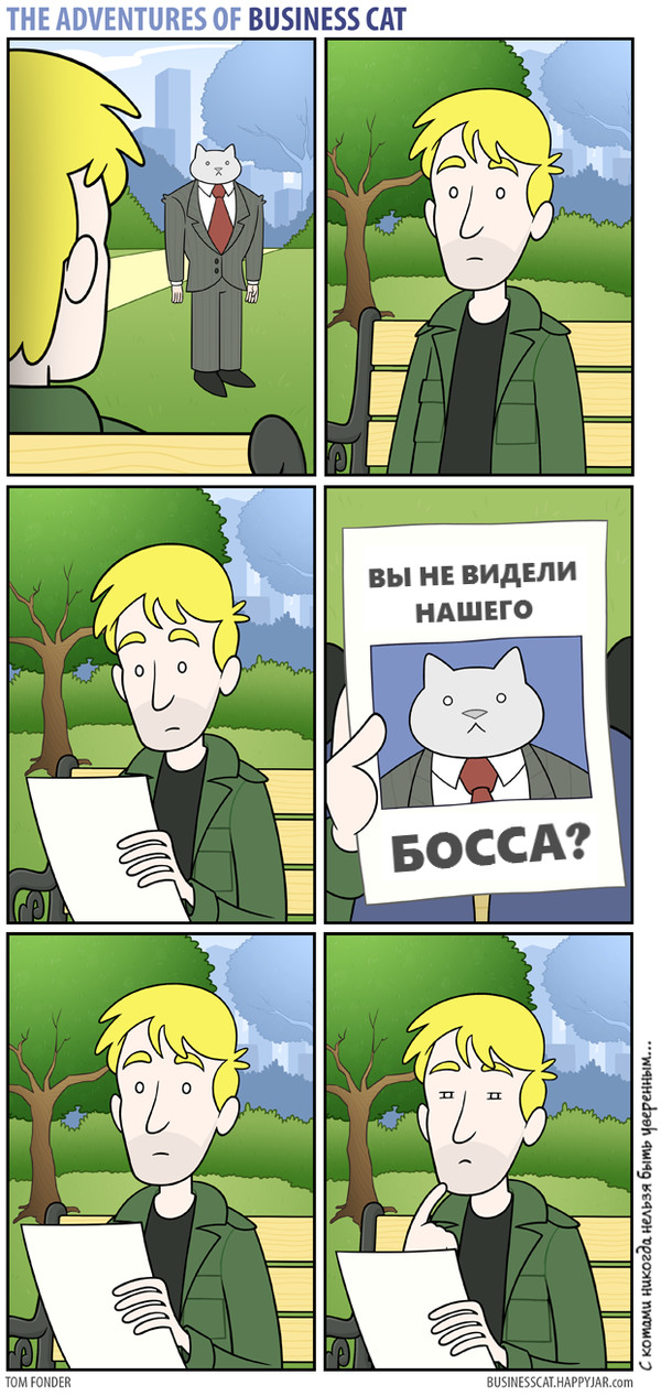 Бизнес-кот. "Найденыш"
