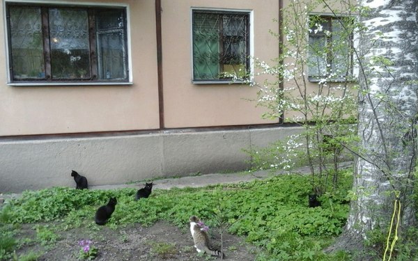 Кажется где то тут живёт сильная и независимая ведьма.