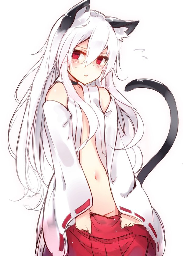 Anime Art - Anime art, Anime, Animal ears, Haegiwa