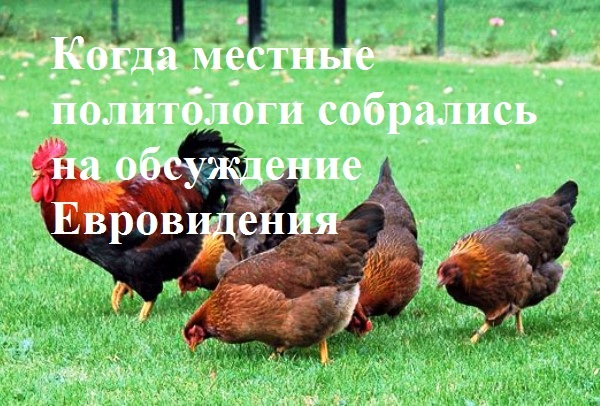 Ой ну началось) | Пикабу