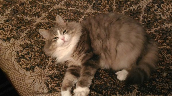 � ��� ����� ����� �������� � �������? �������� ����� �� ����.