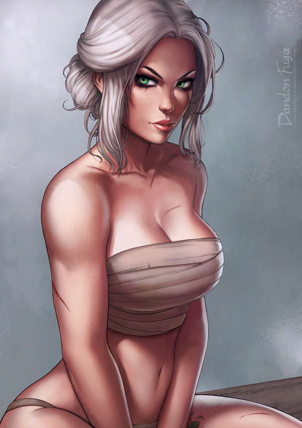 Cirilla - NSFW, Witcher, Ciri, Art, Girls, Breast, The Witcher 3: Wild Hunt, Gray-haired, Dandonfuga