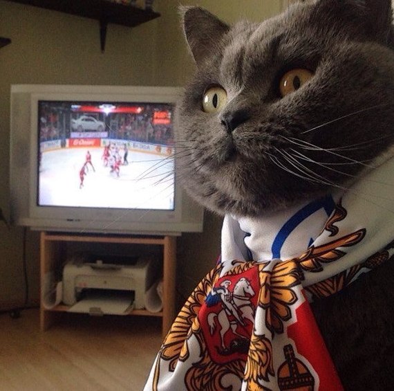 К просмотру хоккея готовы