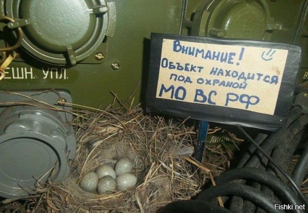 Когда военные шутят - Армия, Юмор, Длиннопост