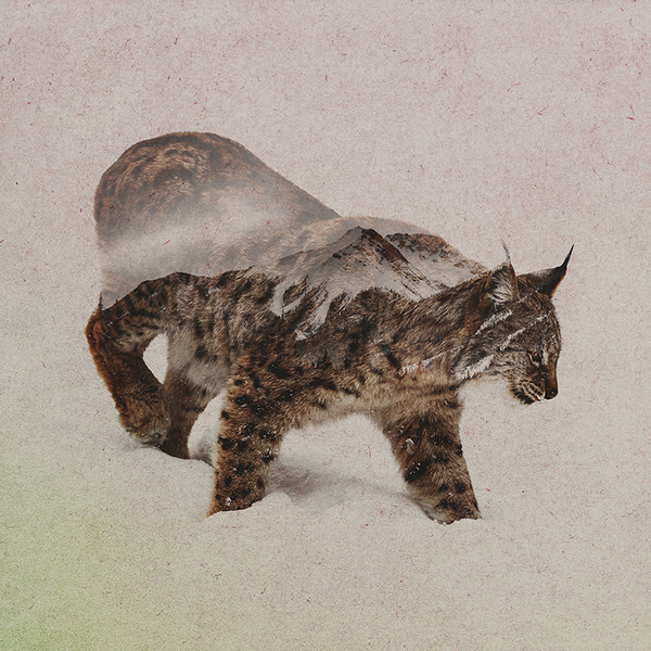    Andreas Lie Photoshop, ,  , , , 