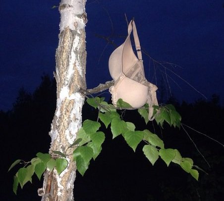 � ���������� � ���.����� ���� ������� �������.