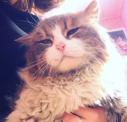 ��� ��� ����� �����