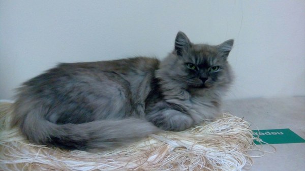 ��� ���� ���, ������� �������. ��� ����� ������ � �����-�� ����� ��������, � ����� ����������.. �� ����� ����������.