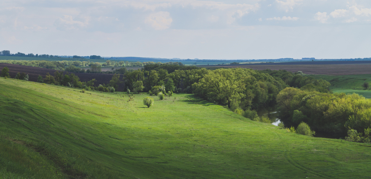 Кшень курская область. Река Кшень Орловская. Река Кшень в Курской области. Река Кшень Липецкая область. В Липецкой области речка Кшень.