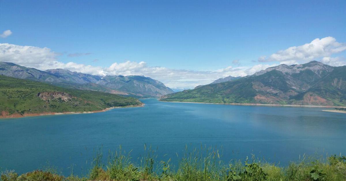 Червак ташкентское водохранилище фото